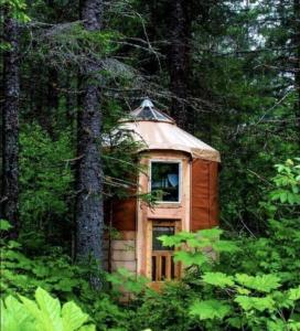 een kleine boomhut midden in een bos bij Nature Escape in an Alaskan Glamping Village for Family Fun in Bear Creek