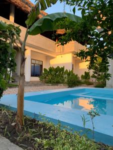 Bazén v ubytování BD House nebo v jeho okolí