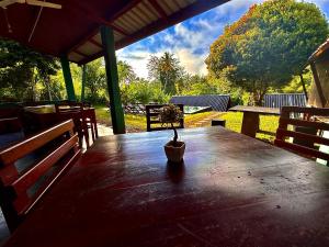 Φωτογραφία από το άλμπουμ του Sinharaja Forest Sanctuary σε Deniyaya