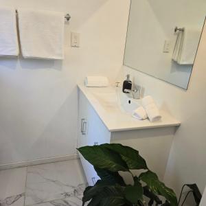 a bathroom with a sink and a mirror and a plant at Bush & Bay Hideaway in Cable Bay