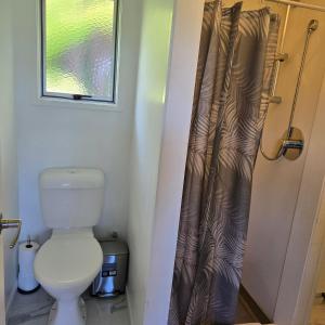 a bathroom with a toilet and a shower curtain at Bush & Bay Hideaway in Cable Bay +19 photos