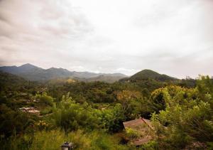 a view of a valley with mountains and trees at Scenic View - Ella in Ella +13 photos