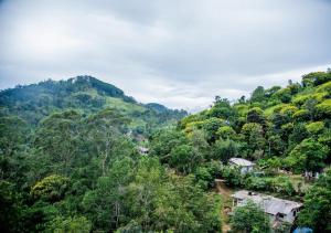 a view of a forested hill with houses and trees at Scenic View - Ella in Ella