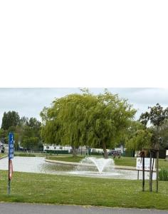 a fountain in the middle of a park with a tree at Dunepark in Nieuwpoort