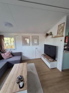 een woonkamer met een bank en een tafel bij Lodge Priscilla in Eext