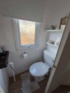 a small bathroom with a toilet and a window at Lodge Priscilla in Eext +17 photos