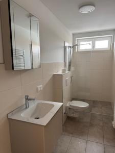 a bathroom with a sink and a toilet at Stadtquartier Völkermarkt in Völkermarkt +2 photos