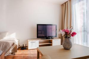 un soggiorno con un vaso di fiori su un tavolo di Apartmán IRIS Poděbrady 3 a Poděbrady