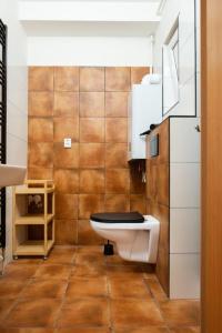 un bagno con un water e un lavandino di Apartmán IRIS Poděbrady 3 a Poděbrady