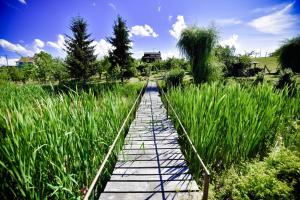 ein Holzsteg durch ein Feld mit hohem Gras in der Unterkunft Holiday house with a parking space Mandicevac, Slavonija - 24644 in Drenje