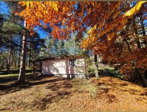 a small building in the middle of a forest at Vikendica Stari Grad in Divčibare