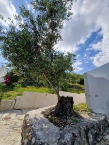 Photo de la galerie de l'établissement Stefanos Garden3, à Arménoi