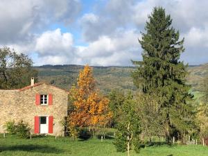an old stone house in a field with trees at Le Refuge de Bruno in Saint-Amans-Soult