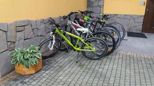 Jazda na bicykli v okolí ubytovania DW Basia pokoje i apartament
