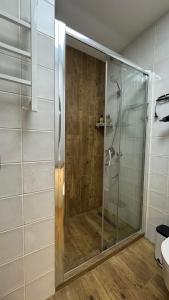 a shower with a glass door in a bathroom at кемпінг-парк Метеорит in Orlovshchina