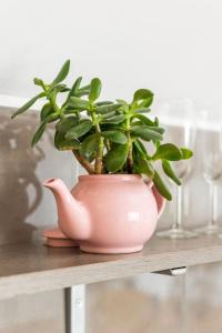 Foto sihtkohas Brighton & Hove asuva majutusasutuse Brighton Seaside Stay – Modern Home with Patio & Balcony galeriist +15 fotot