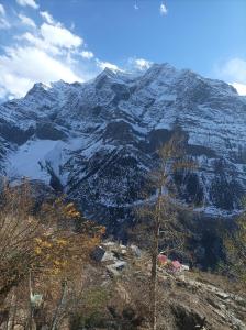 Loodusmaastik kodumajutuse lähedal