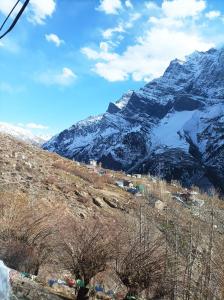 Loodusmaastik kodumajutuse lähedal