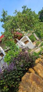 a house with bushes and flowers on top of rocks at Cinnamon garden villa ahangama in Ahangama
