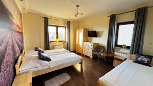 a bedroom with two beds and a desk and a tv at Willa Sulejowka in Poronin