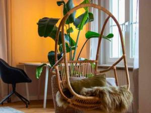 a rattan chair with a potted plant in a room at N3 Quartier in Kall