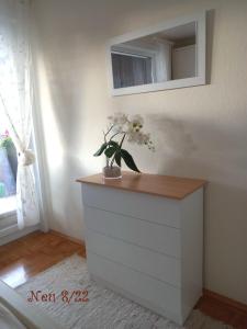 a white dresser with a mirror and a plant on it at Harz-Fewo-Wolf in Bad Harzburg