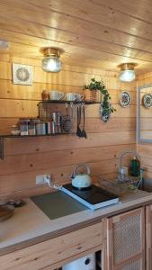a kitchen with wooden walls and a counter with a sink at Alemiło mini - domek z balią i widokiem na Babią Górę in Zawoja