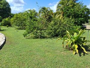 Zahrada ubytování Le Flamboyant + 2 fotografie