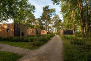 a dirt road leading to a row of tiny houses at Hofparken Wiltershaar in Winterswijk