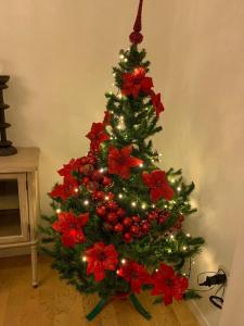 Fotografie z fotogalerie ubytování Casa Gramsci luxury apartment v destinaci Pesaro