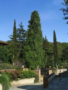 Příroda nedaleko penzionu