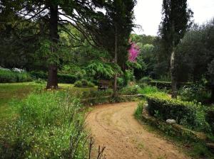 Zahrada ubytování Il Borgo