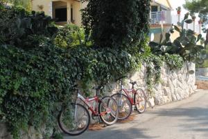 drie fietsen geparkeerd naast een stenen muur bij Apartments by the sea Pasadur, Lastovo - 8388 in Lastovo
