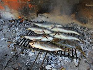 Billede fra billedgalleriet på Secluded fisherman's cottage Cove Velo Zvirje, Brac - 11034 i Selca