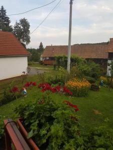 a garden with red flowers in a yard at Apartments for families with children Jakovci Netreticki, Karlovac - 20495 in Netretić +6 photos