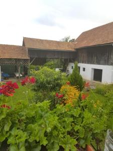 a garden with flowers and plants in front of a building at Apartments for families with children Jakovci Netreticki, Karlovac - 20495 in Netretić