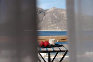 Naturlandskabet i nærheden af lejlighedshotellet