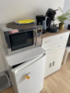 een magnetron bovenop een aanrecht bij Pension Doreen Nieswand in Gamstädt