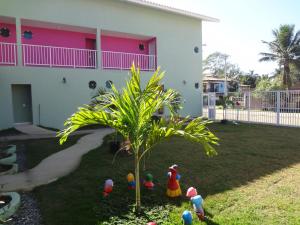 a small palm tree in a yard next to a house at Flat Paraty Studio in Paraty