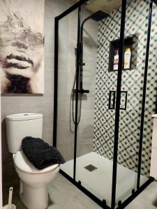 a bathroom with a shower with a toilet in it at Casa Patio del Vino in Ciudad-Rodrigo