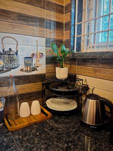 Η κουζίνα ή μικρή κουζίνα στο Ocean Mist Farm Stay