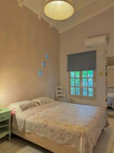 ein Schlafzimmer mit großem Bett und Fenster in der Unterkunft Tuchita House en Cataratas con piscina compartida parrilla, cochera in Puerto Iguazú + 35 Fotos