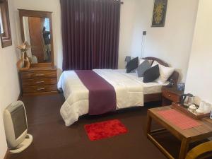 a bedroom with a bed and a tv in it at Penthouse Bandarawela in Bandarawela