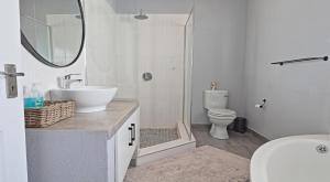 a bathroom with a sink and a toilet and a mirror at Stripes & Sunsets Marloth Park in Marloth Park +13 photos