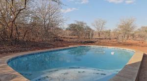 an empty swimming pool in a field with trees at Stripes & Sunsets Marloth Park in Marloth Park