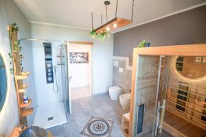 a bathroom with a shower and a toilet in it at La casa in campagna in Cascina Grossa +18 photos