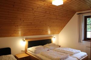 カルロヴァ・ストゥダーンカにあるApartmány u Reichlůの木製天井のドミトリールームのベッド2台分です。