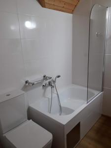 カルロヴァ・ストゥダーンカにあるApartmány u Reichlůのシャワーと浴槽を備えた白いバスルーム +8枚の写真