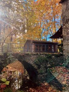 Saint-Julien-de-CassagnasにあるLou moulinouの池橋小屋