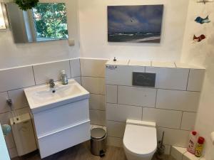 a bathroom with a sink and a toilet at Ferienhaus Mehler - Heiligenhafen in Heiligenhafen